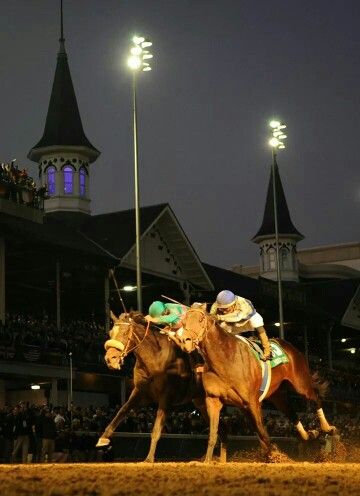 Breeder's Cup Classic 2010 Zenyatta and Blame Things To Do In Kentucky, Breeders Cup, Race Horses, Thoroughbred, Kentucky, Lion Sculpture, Things To Do, Horses, Wonder