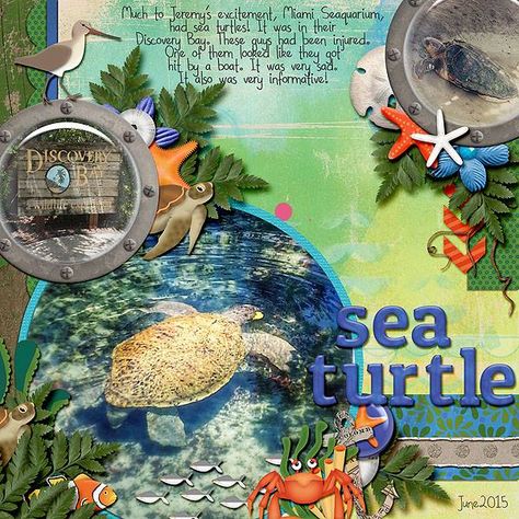 Vacation 2015 | Sea Turtle - Scrapbook.com Cruise Scrapbook Pages, Beach Scrapbook Layouts, Cruise Scrapbook, Ocean World, Vacation Scrapbook, Scrapbook Collection, Graphics Layout, Disney Scrapbook, Photo Scrapbook