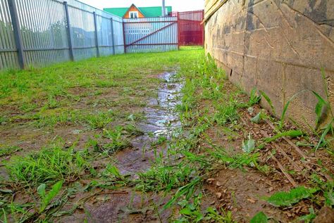 Muddy Backyard Solution, Muddy Backyard, Drainage Ditch, French Drain, Lattice Fence, Concrete Building, Rain Garden, Backyard Inspo, Landscape Fabric