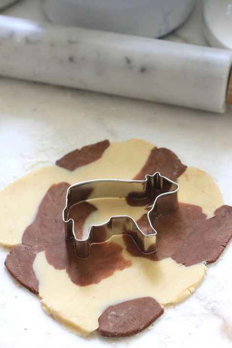 Cute Cow Cookies – Jenny Steffens Hobick Cow Themed Desserts, Bull Cookies, Cow Cookies Decorated, Cow Print Cookies, Cow Themed Birthday Party Food, Highland Cow Cookies, Cow Sugar Cookies, Western Sugar Cookies, Almond Cow