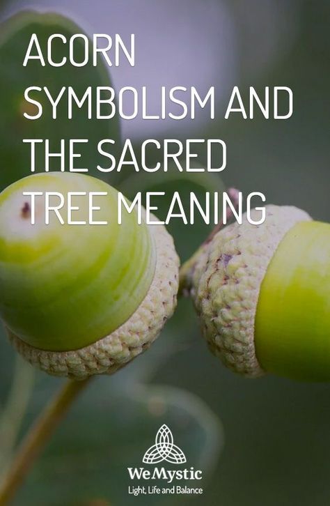 Spiritual Meaning Of Acorns, Acorn Uses, Acorn Symbolism, Oak Tree Quotes, Acorn Magic, Acorn Meaning, Mabon Ideas, Acorns Crafts, Tree Energy