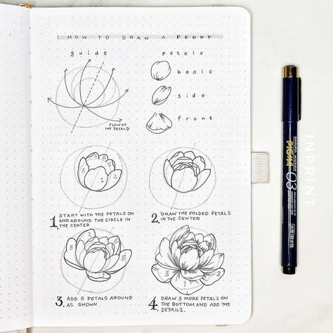 Aska | Bullet Journal on Instagram: “Finally uploaded the peony tutorial video on my YT, I hope you guys will like it🙂 Link on my stories! . #howtodraw #peonies #stepbystep . .…” Peony Drawing Tutorial, Peony Tutorial, Peony Drawing, Botanical Line Drawing, Flower Drawing Tutorials, Art Advice, Hope You, Corporate Art, Flower Painting Canvas