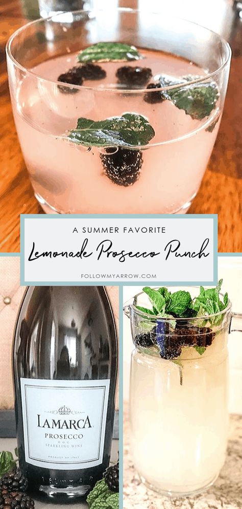 Lemonade Prosecco Punch, Prosecco Punch, Prosecco Drinks, Citrus Vodka, Prosecco Cocktails, Boozy Drinks, Fancy Drinks, Summer Drink, Punch Recipes