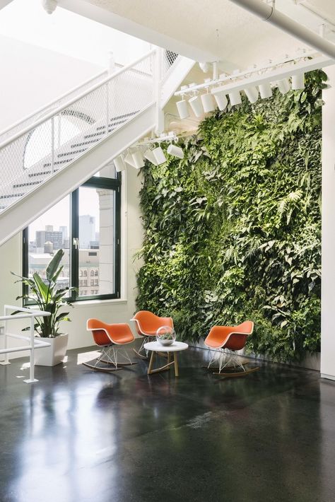 The space is flooded with natural light and includes gram-ready backdrops like this living green wall. Office Stairs, Gehry Architecture, Living Green Wall, Green Wall Design, Indoor Greenery, Instagram New York, New York Office, Green Office, Corporate Interiors