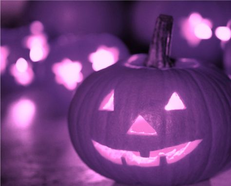 . Autumn Tumblr, Purple Images, Purple Pumpkin, Purple Halloween, Purple Girls, Purple Reign, Purple Love, All Things Purple, Fairy Godmother