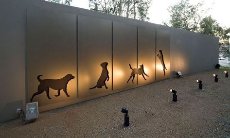 Dog Park Design, Dog Boarding Ideas, Indoor Dog Park, Dog Boarding Facility, Dog Boarding Kennels, Dog Spa, Dog Hotel, Dog Yard, Dog Playground