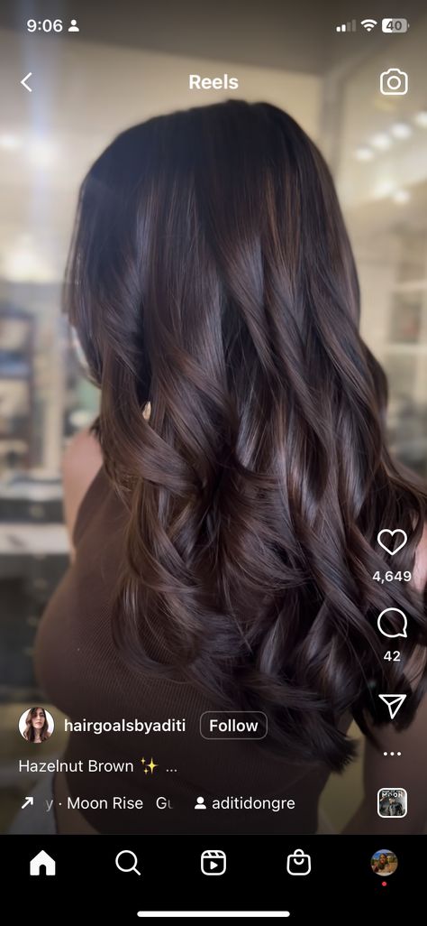 Hazelnut Brown Hair Color, Hazelnut Balayage, Hazelnut Brown Hair, Mahogany Hair, Curly Hair Videos, Brown Hair Color, Brunette Color, Diy Hair Care, Hair Inspo Color