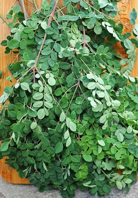 Pascal Wallpaper, Fruits And Vegetables Images, What Is Moringa, Drumstick Leaves, Burning Bay Leaves, Moringa Tree, Moringa Leaves, Pole Beans, Fast Growing Plants