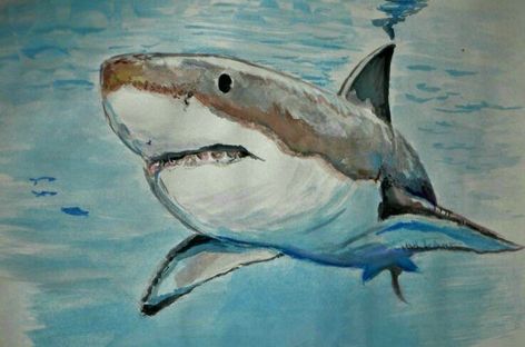 Shark Drawing Color Pencil, Shark Oil Pastel, Shark Drawing Color, Watercolour Shark, Shark Watercolor, Movie Illustration, Shark Painting, Whale Illustration, Shark Drawing