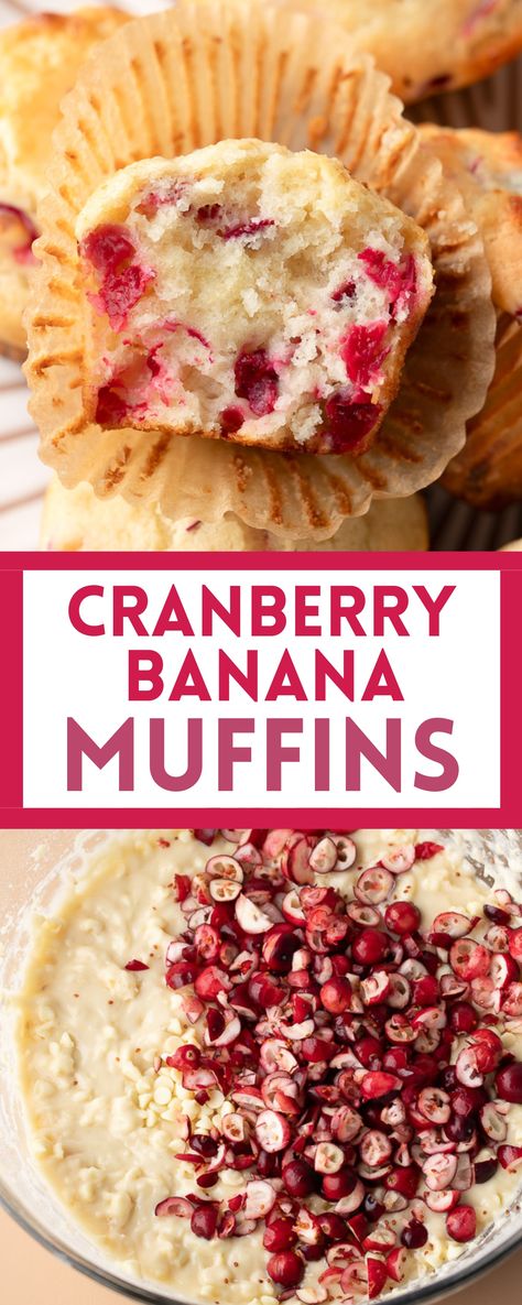 muffins with banana, cranberries, and white chocolate chips Fresh Cranberry Breakfast Recipes, Cranberry Sauce Oatmeal Muffins, Christmas Banana Recipes, Cranberry Baking Recipes, Recipes Using Dried Cranberries, Recipes Using Cranberries, Healthy Cranberry Recipes, Cranberry Muffins Recipes, Cranberry Breakfast Recipes