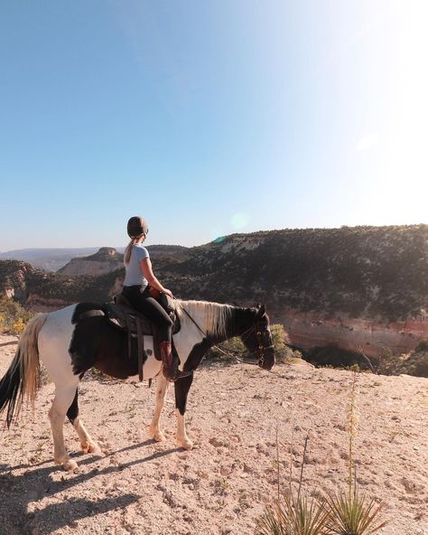 Looking for horseback riding near Zion Canyon? Read this review of a 2-hour horseback trail ride at Zion Mountain Ranch near Zion National Park. Zion Mountain Ranch, Zion National Park Hikes, Hiking The Narrows, Horseback Riding Trails, Zion Canyon, Escalante National Monument, Utah Road Trip, Mountain Ranch, Capitol Reef National Park