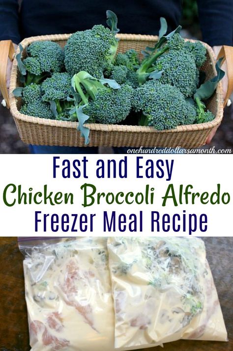 Freezer Meals Chicken, Freeze Ahead Meals, Meals Chicken, Chicken Freezer Meals, Chicken Broccoli Alfredo, Freezer Dinners, Budget Freezer Meals, Freezer Friendly Meals, Freezable Meals