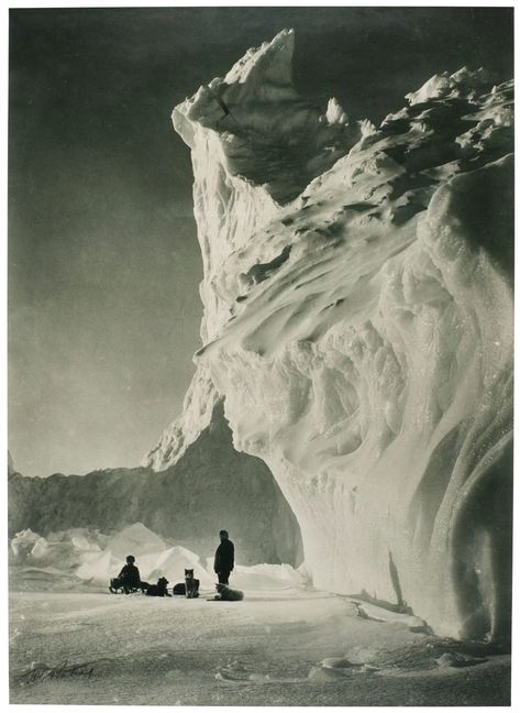 Herbert George Ponting, A DOG TEAM RESTING BY AN ICEBERG, 1912 ||| other ||| sotheby's l19350lot9fhjqen Robert Falcon Scott, Ross Island, Terra Nova, Slim Aarons, Art Society, Dog Sledding, Victoria And Albert Museum, South Pole, White Photography