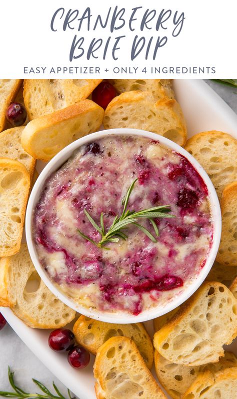 This cranberry brie dip is rich, melty, and perfectly sweet. Made with Président Brie and cranberry sauce, it only takes a few minutes to prep but will be gone in a flash! It’s the perfect quick and easy but addictive appetizer on Thanksgiving or Christmas, using just a little of your cranberry sauce, served with slices of baguette or crackers. #cranberry #brie #dip #appetizer #holidays Baked Cranberry Brie Recipes, Cranberry Rosemary Baked Brie, Brie Cranberry Dip, Holiday Dips And Spreads, Thanksgiving Side Appetizers, Hot Brie Dip, Baked Brie Cranberry Appetizer, Cranberry Brie Dip Crockpot, Brie And Raspberry Appetizer