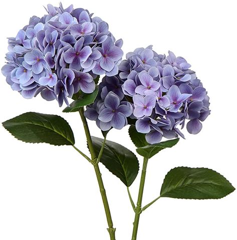 Amazon.com: Faux Hydrangea Large Artificial Purple Hydrangea Flowers 24.8" Real Touch Hydrangea Flowers Lifelike Silk Hydrangea Stems for Wedding Party Garden Home Decor-2PCS: Kitchen & Dining Hydrangea Arrangements Wedding, Lavender Hydrangea, Large Hydrangea, Blue Hydrangea Flowers, Fake Hydrangeas, Purple Hydrangea, Hydrangea Colors, Garden Home Decor, Growing Hydrangeas