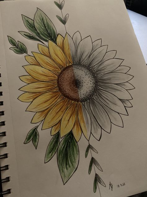 Half And Half Drawings Sketch, Sunflower Charcoal Drawing, Half Sketch Half Painting, Wilted Sunflower Drawing, Half Page Drawings, Sunflower Drawing Pencil Sketch, Half Flower Painting, Sun Flower Drawing Simple, Sun Flowers Drawing