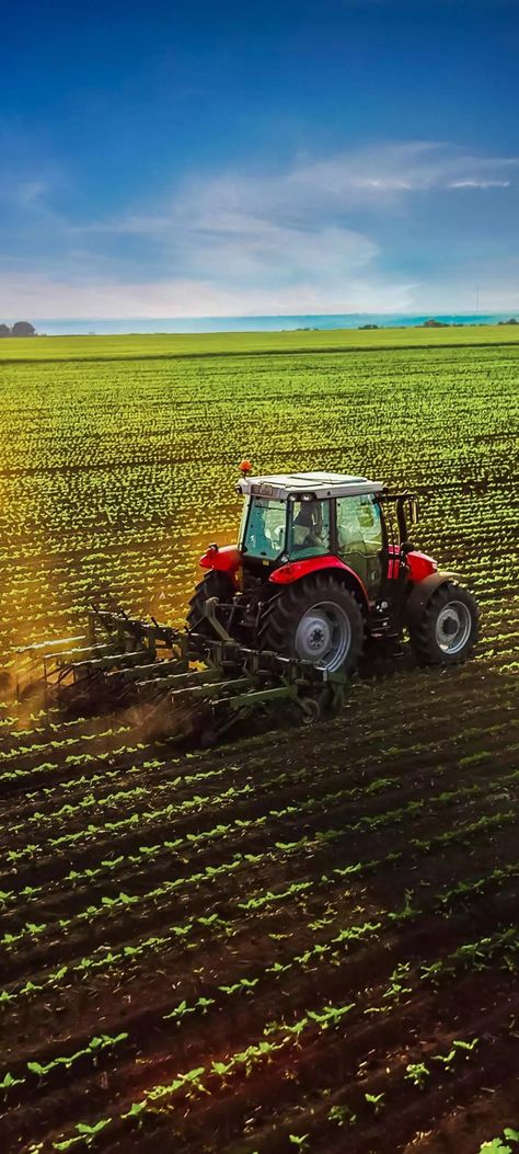 Farmer Cultivating land by new tech. Tractor #farm #tractor #farmers #feild #agriculture #nature #cultivating #farming #kisaan #green #scenario #photography #3D #3dimages #real #images Tractor Photography, Agriculture Pictures, Agriculture Photography, Farm Images, Real Images, Farm Photography, Agricultural Land, Agriculture Tractor, New Tech