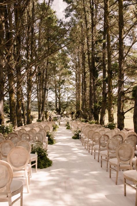 Wedding On A Hill, Enchanted Forest Wedding Ceremony, Weeding Themes, Forest Wedding Inspiration, Event Aesthetic, Forest Wedding Ceremony, Twilight Wedding, Wedding Favours Luxury, Forest Theme Wedding