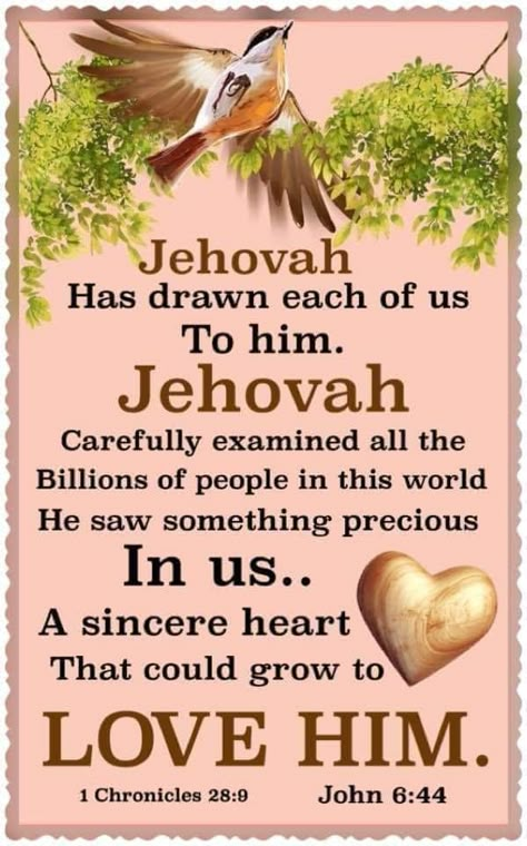 Good Morning Jehovah Quotes, Jw Good Morning Quotes, Jehovah's Witnesses Humor, Chosen Quotes, Spiritual Reminders, Morning Family, Quotes Gratitude, Jw Bible, Good Night Prayer Quotes