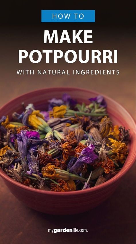 Discover how to make your own homemade potpourri with this step-by-step recipe using natural ingredients. Perfect for decorative displays, gifts, or everyday home decor, these potpourri ideas feature flowers, herbs, and spices for a unique, long-lasting scent. Find more DIY garden crafts and flower gardening tips at MyGardenLife.com. Make Potpourri, How To Make Potpourri, Potpourri Recipe, Natural Potpourri, Drying Fresh Herbs, Preserve Flowers, Homemade Potpourri, Potpourri Recipes, Teacup Gardens