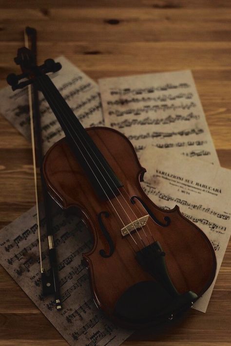 Violin Aesthetic, Dark Acadamia, Music Motivation, Violin Music, Vintage Icons, The Infernal Devices, Teen Fiction, Dark Academia Aesthetic, Music Aesthetic