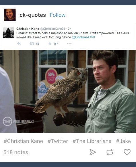 The Librarians; Jake Stone; Jacob Stone Jacob Stone, The Librarians, Simon Pegg, Christian Kane, Majestic Animals, Librarian, Character Art, Entertainment, Actors