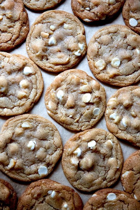 White Chocolate Macadamia Nut Cookies | Alexandra's Kitchen Best White Chocolate Macadamia Cookies, Camp Cookies, Xmas Brunch, Chocolate Macadamia Nut Cookies, Best White Chocolate, White Chocolate Macadamia Nut Cookies, White Chocolate Macadamia Nut, Cookie Corner, Butter Sugar Cookies