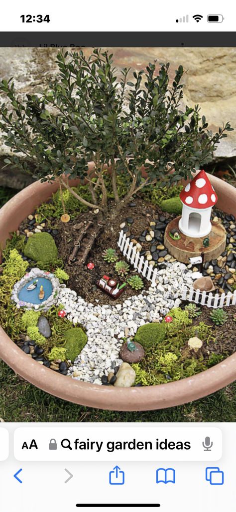 Tree Fairy Garden, Funny Fairy, Kaktus Dan Sukulen, Tree Fairy, Fairy Garden Ideas, Fairy Garden Designs, Fairy Garden Crafts, Garden Ideas Cheap, Mini Fairy Garden