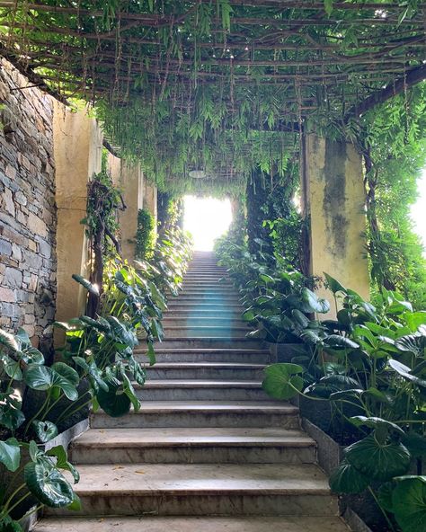 Yolanda Edwards on Instagram: “If you’re a wisteria fan you should plan a trip here in the season because it is seriously over the top. #stairwaytoheaven #yoloinitaly…” Yolanda Edwards, Plan A Trip, Stairway To Heaven, + Core + Aesthetic, Under Stairs, Re A, Over The Top, Wisteria, Plan A