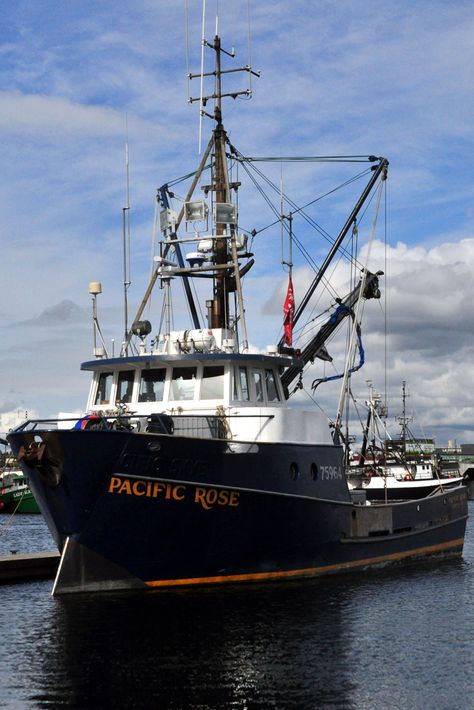 The fishing vessel Pacific Rose at Fishermen's Terminal, its home port, just a stone's throw from Seattle Marine's headquarters. Astoria Oregon, Deadliest Catch, Fishing Vessel, Fishing Supplies, Boat Plans, Fishing Boats, Cruise Ship, Sailing Ships, Seattle