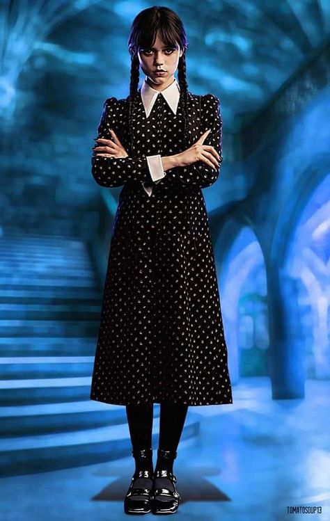 Wednesday Addams Full Body Picture, Wendsday Adams Costumes, Adams Family Costume, Wednesday Addams Outfit, Wednesday Addams Cosplay, Wednesday Costume, Wednesday Addams Dress, Addams Dress, Wednesday Outfit