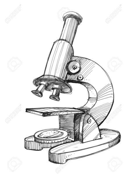 Microscope Drawing, Theme Nature, Drawing Simple, Art Theme, Simple Illustration, Stock Vector, Drawings