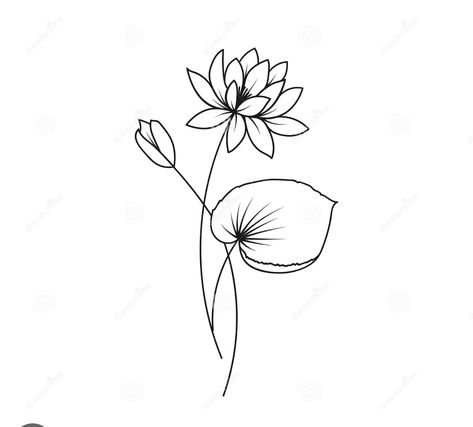 Lotus Flower Lilly Pad Tattoo, Water Lily Minimalist Tattoo, Easy Water Lily Drawing, Water Lily Small Tattoo, Water Lily With Stem Tattoo, Waterlily Minimalist Tattoo, Waterlily Drawing Tattoos, Tattoo Ideas Water Lily, Water Lily Drawing Tattoo Ideas