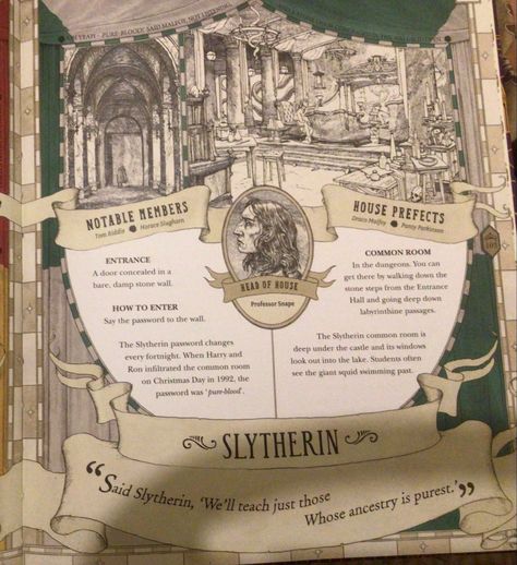 the harry potter wizarding almanac Slytherin Common Room, Professor Snape, Tom Riddle, Harry Pottah, Riddles, Stone Wall, Camera Roll, Junk Journal, Harry Potter