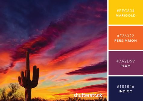 101 Color Combinations to Inspire Your Next Design – Arizona Sunset Color Palette Rainy Day Images, Sunset Color Palette, Arizona Sunset, Red Images, Sunset Color, Color Schemes Colour Palettes, Mood Colors, Sunset Colors, Colour Board