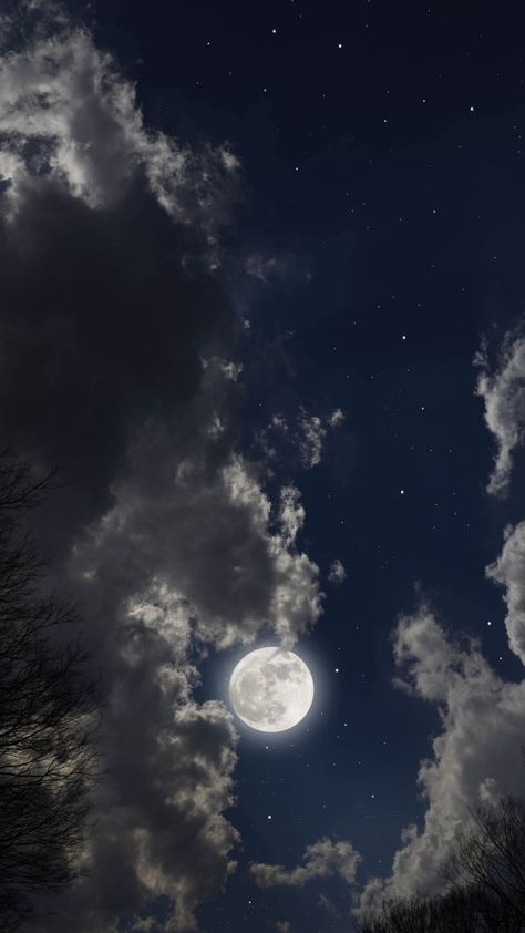 Picture Tag Moon And Stars Wallpaper, Moonlight Photography, Blue Moon Photography, Night Sky Photography, Night Sky Wallpaper, The Moon Is Beautiful, Look At The Moon, Moon Pictures, Pretty Landscapes