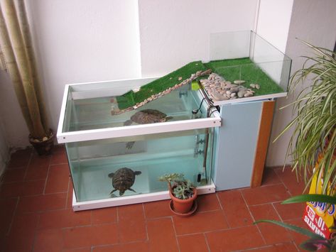 Bored Turtle | Tortoise Forum Tartaruga Habitat, Aquatic Turtle Tank, Turtle Tank Setup, Turtle Tanks, Diy Turtle, Turtle Enclosure, Turtle Terrarium, Turtle Aquarium, Turtle Care