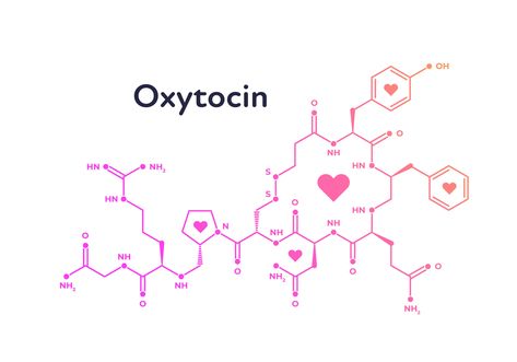 Oxytocin Tattoo, Oxytocin Hormone, Chemistry Tattoo, Chemistry Teacher Gift, Lip Wallpaper, Chemistry Notes, Naturopathic Doctor, Milk Production, Motion Graphics Design