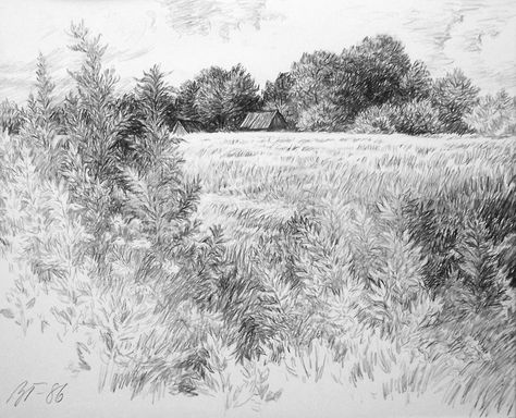 Pencil Sketches Landscape, Grass Drawing, Landscape Pencil Drawings, Pencil Drawing Tutorials, Nature Sketch, Landscape Sketch, Nature Drawing, Landscape Drawings, Cool Landscapes