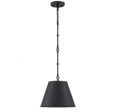 Alden 1 Light Pendant - Pendants House Lighting Fixtures, Savoy House Lighting, House Essentials, Bathroom Sconces, Single Pendant Lighting, Savoy House, Outdoor Sconces, Mirror Interior, Black Pendant Light