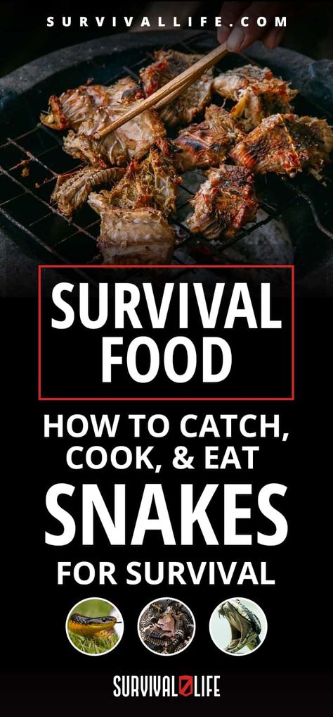 Survival Food | How To Catch, Cook, & Eat Snakes For Survival Food Snakes, Survival Food Kits, Survival List, 400 Calorie Meals, Survival Foods, Survival Ideas, Emergency Food Supply, Survival Stuff, Odd Jobs