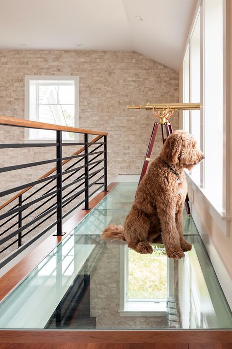 glass stair landing Net Zero, Stair Case, Floor Art, Energy Efficient Homes, Glass Floor, Dog Houses, Commercial Design, Residential Architecture, Contemporary Architecture