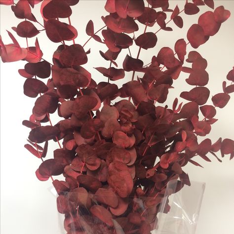 Eucalyptus Cinerea Dyed Red Bridal Flowers, Shades Of Red, Dried Flowers, Dye, Wedding Flowers, Candy, Red, Flowers