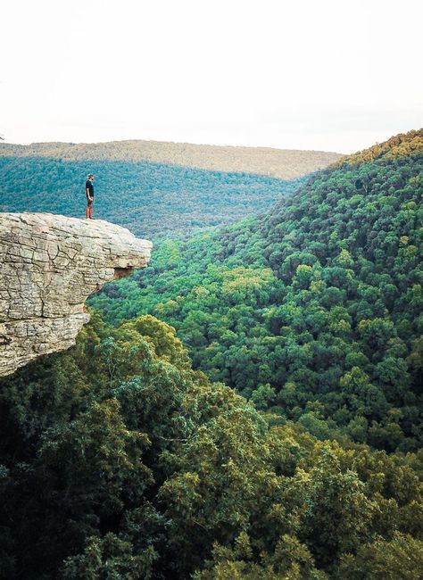 Whitaker Point Arkansas, Ozark National Forest Arkansas, Ouachita National Forest Arkansas, Ozark Arkansas, Ozark Mountains Arkansas, Hiking Arkansas, Ozarks Arkansas, Arkansas Ozarks, Plum Cobbler