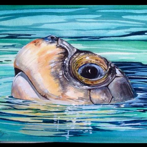 Turtle painting Turtles Swimming, Sea Turtle Painting, Turtle Watercolor, Sea Turtle Art, Turtle Love, Turtle Painting, Turtle Art, A Turtle, Fish Print