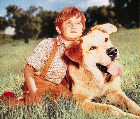 National Mutt Day, Old Yeller, Dog Movies, Famous Dogs, Disney Live Action, Happy Memories, Book Addict, The Good Old Days, Old Movies