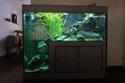 This is such a cool aquarium: Vivarium Ideas, Aquascaping Ideas, Turtle Aquarium, Fish Tank Terrarium, Amazing Aquariums, Cool Fish Tanks, Aquascape Design, Turtle Pond, Aquarium Terrarium