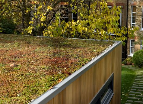 To create more green space in a garden choose a sedum room for your garden studio! Green Roof Garden, Shed Design Plans, Sedum Roof, Green Roof System, Sedum Plant, Grass Roof, Roofing Options, Green Facade, Roof Extension