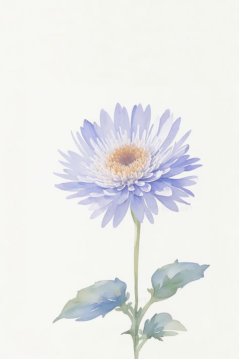 Experience the grace and delicate beauty of the September Aster Birth Flower. Our floral artwork captures the essence of this beloved September flower, representing elegance, charm, and the ethereal beauty of nature's vibrant blooms. #homedecor #watercolor #floral #nature #interiordesign #elegant #home #love #birthflower #gift #giftidea #meaningfulgiftidea #happybirthday #giftbox #birthdaygift #birthdaypresent #weddinggift #aesthetic #minimalist #minimalistic #design #tattooidea Aster September Flower, Aster Wallpaper Aesthetic, September Flower Wallpaper, Aster Flower Wallpaper, Aster Flower Aesthetic, Aster Aesthetic, Blue Aster Flower, Neat Wallpapers, Aster Flower Tattoo