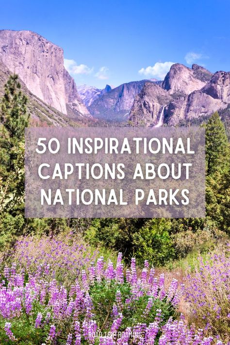 50 Inspirational Captions About National Parks National Park Quotes, Camping Hiking Outfit, Midwest Hiking, New Orleans Quotes, Inspirational Captions, Inspiring Captions, Motivational Captions, Park Quotes, Cute Instagram Captions